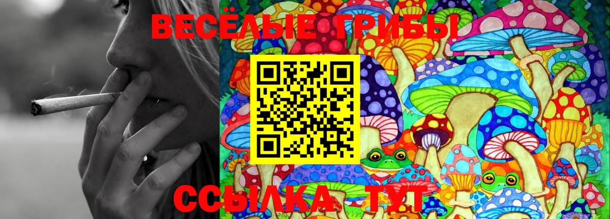 Галлюциногенные грибы мухоморы  Вход с VPN  Псилоцибиновые грибы Psilocybe  Елец 